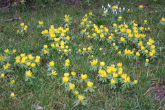 Killikus&reg; Fotographie